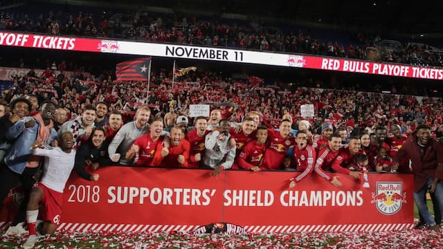 New York Red Bulls artwork 7