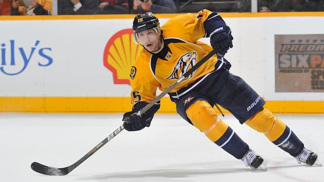 Nashville Predators artwork 7