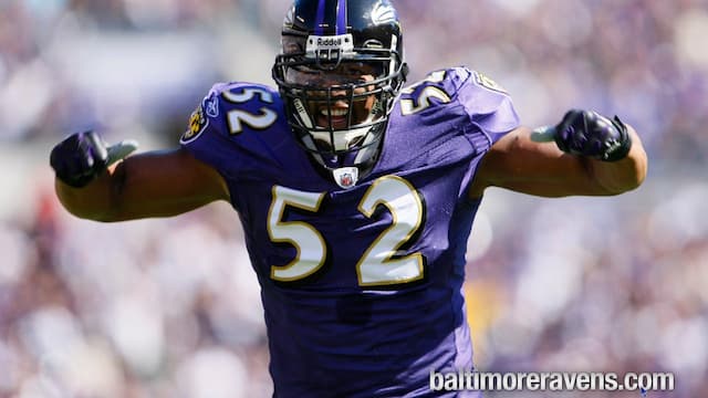 Baltimore Ravens artwork 7