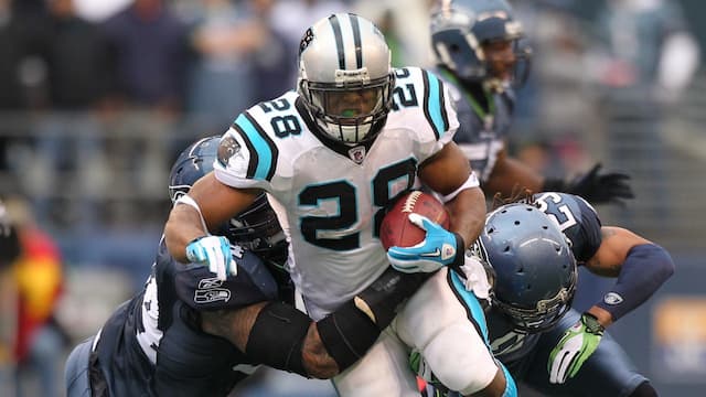 Carolina Panthers artwork 7