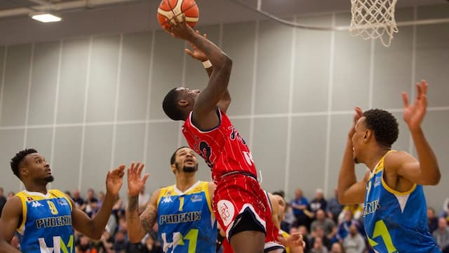 Cheshire Phoenix artwork 7