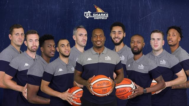 Sheffield Sharks artwork 7