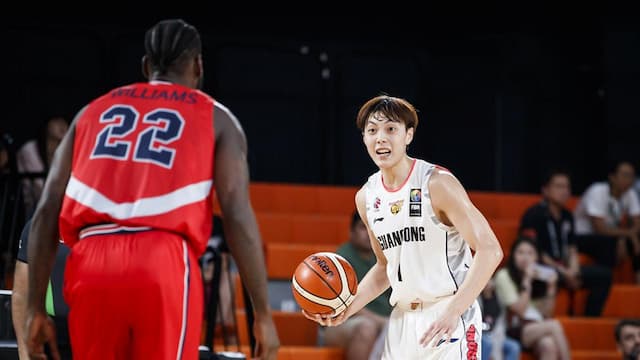 Guangdong Southern Tigers artwork 7