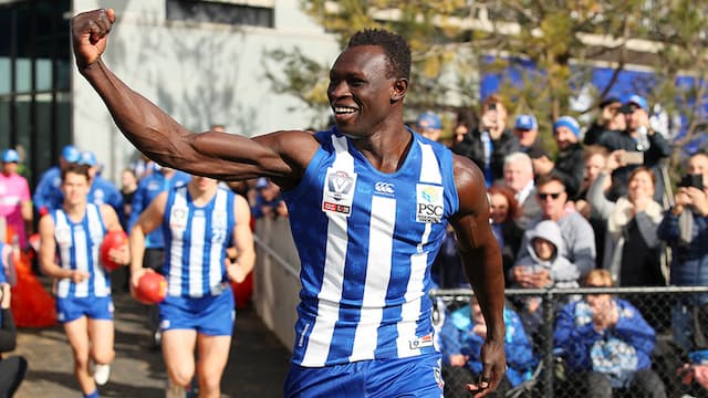 North Melbourne Football Club artwork 7