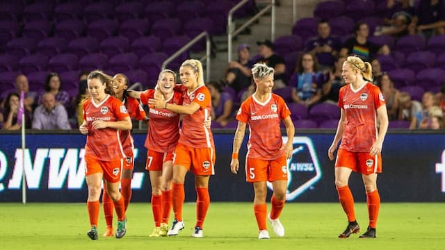 Houston Dash artwork 7