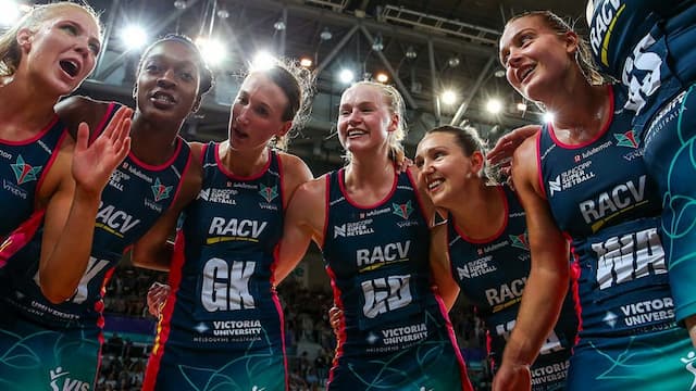 Melbourne Vixens artwork 7