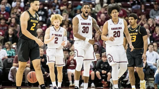 South Carolina artwork 7