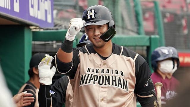 Hokkaido Nippon-Ham Fighters artwork 7