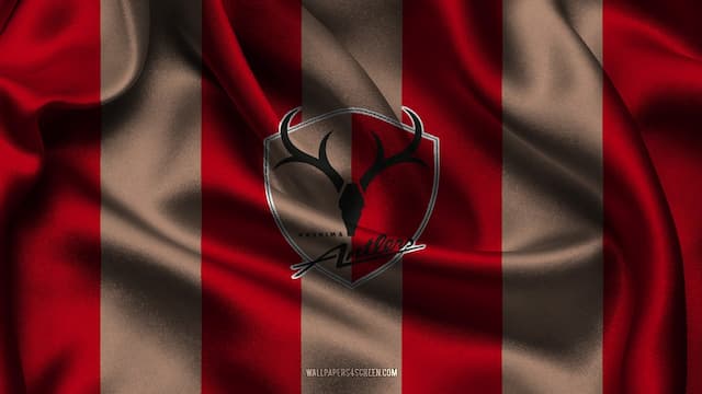 Kashima Antlers artwork 5