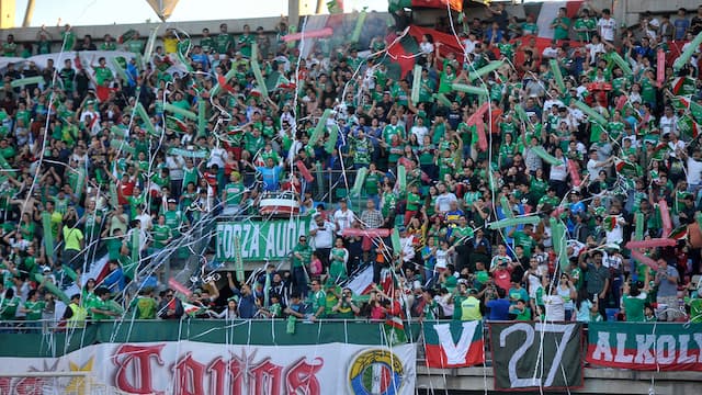 Audax Italiano artwork 5