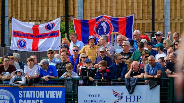 Dorking Wanderers artwork 4