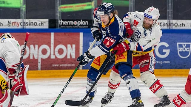 Rapperswil artwork 7