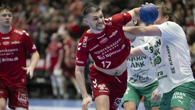 Aalborg Håndbold artwork 7