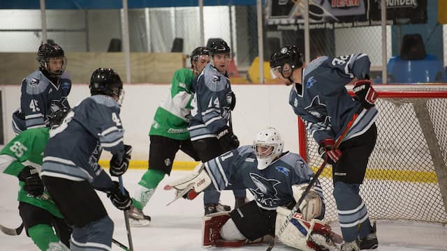 Auckland Mako artwork 4