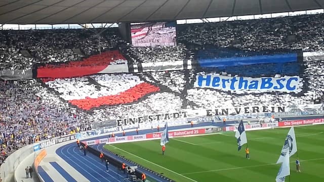 Hertha artwork 8