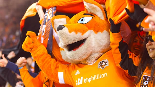 Houston Dynamo artwork 8