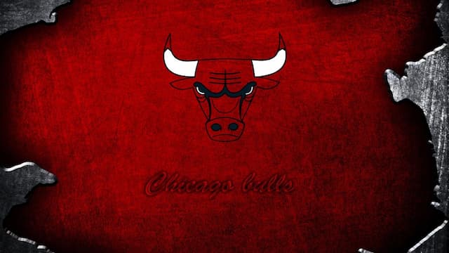 Chicago Bulls artwork 8
