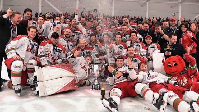 Cardiff Devils artwork 8