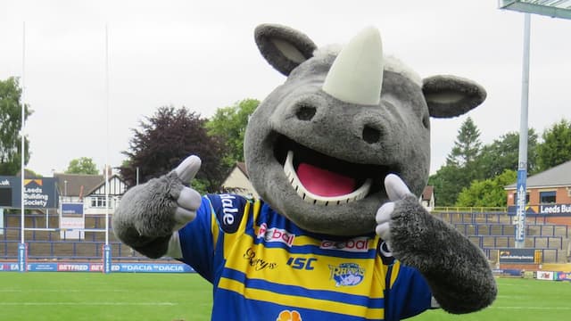 Leeds Rhinos artwork 8