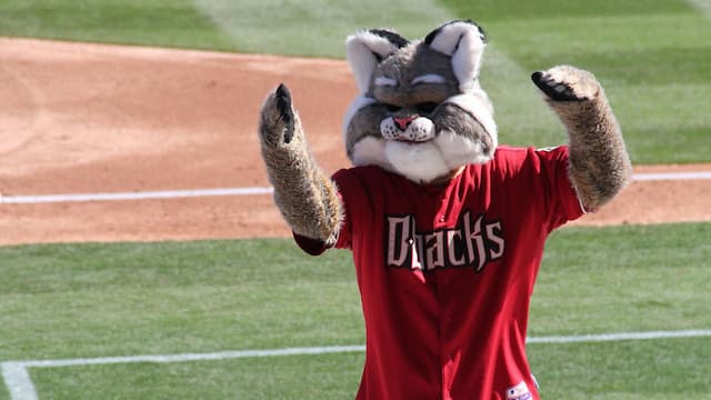 Arizona Diamondbacks artwork 8