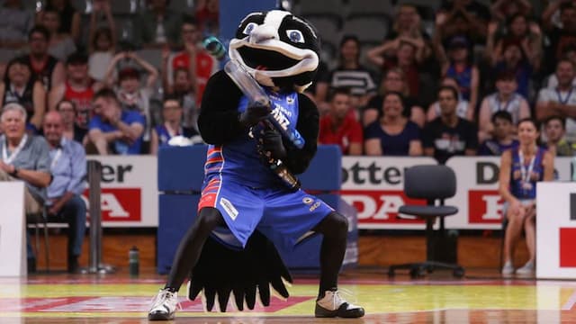 Adelaide 36ers artwork 8