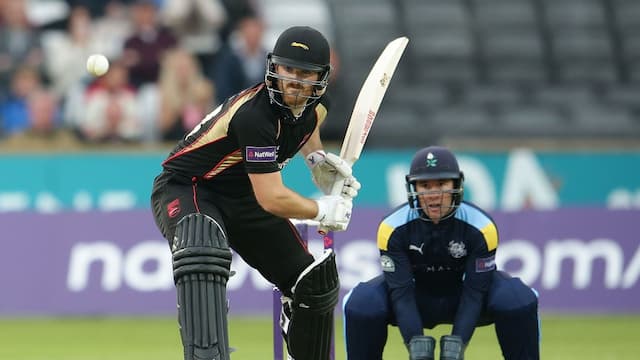 Leicestershire Foxes artwork 8