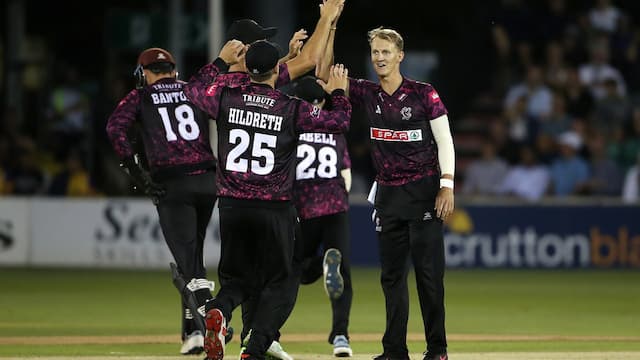 Somerset t20 artwork 8