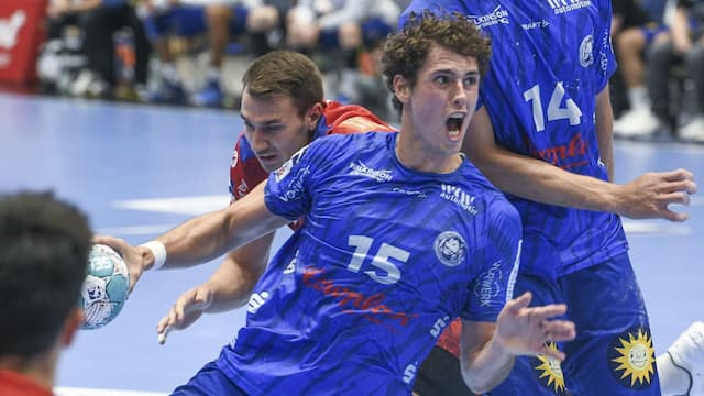 Bergischer HC artwork 8