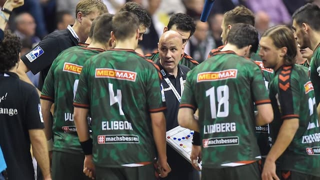 Füchse Berlin artwork 8