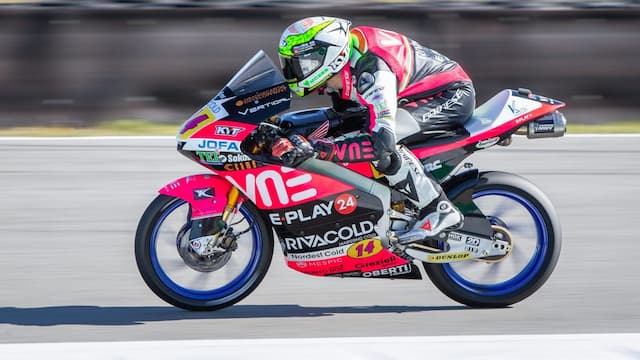 Rivacold Snipers Team artwork 8