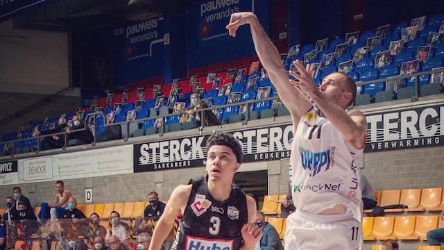 Okapi Aalst artwork 8