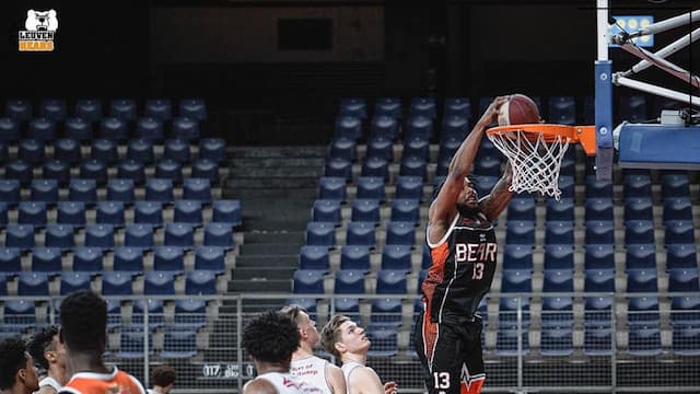 Leuven Bears artwork 8