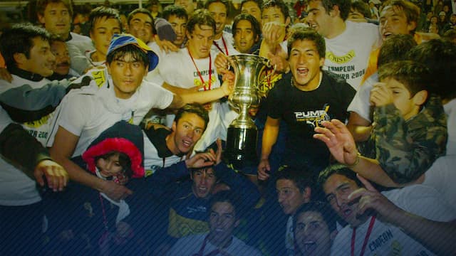 Everton de Viña del Mar artwork 6