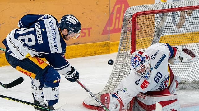 Rapperswil artwork 8