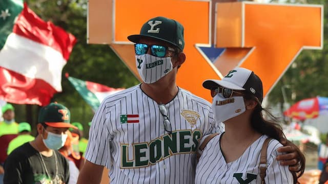 Leones de Yucatán artwork 8