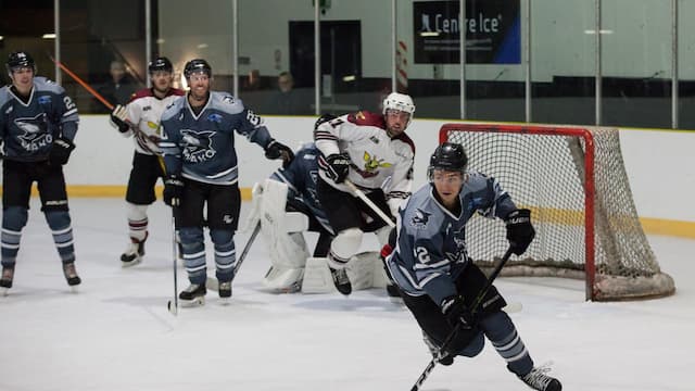 Auckland Mako artwork 5