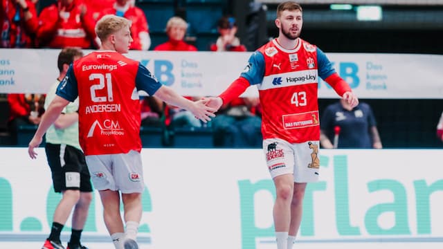 Handball Sport Verein Hamburg artwork 8