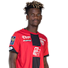 Didier Ndong