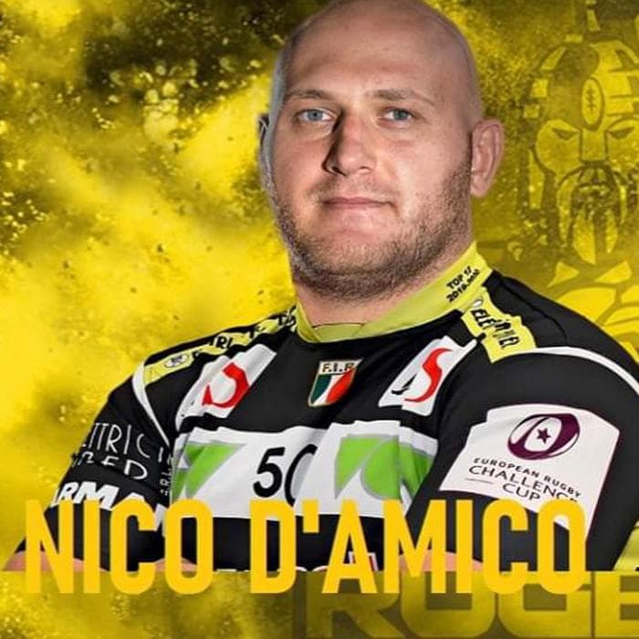 Nicolo D'Amico