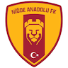 Niğde Anadolu