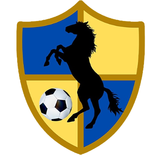 Racing United badge