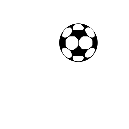 Fakirerpool YMC artwork 1