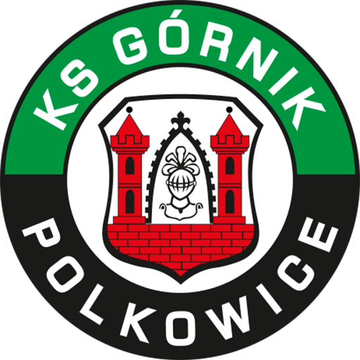 Górnik Polkowice artwork 1