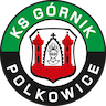 Górnik Polkowice