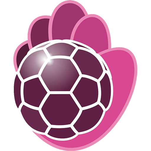 BM Guadalajara badge