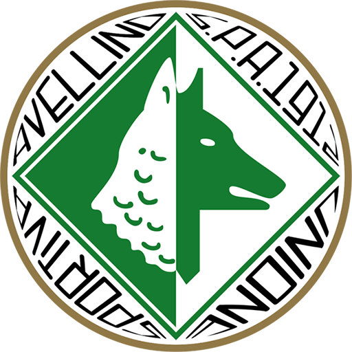 Avellino badge