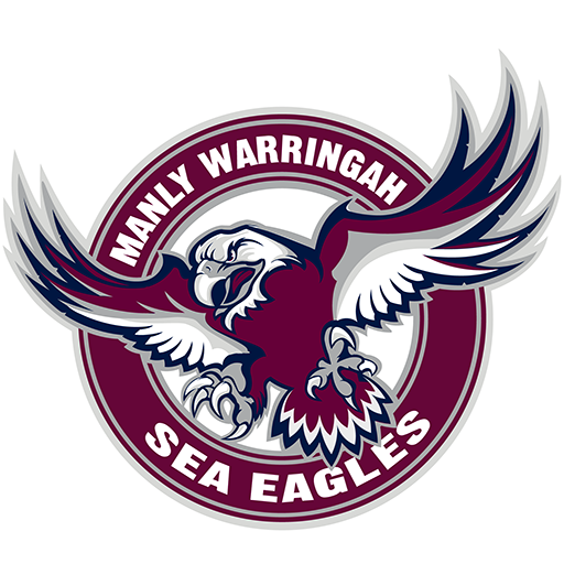 Manly Sea Eagles artwork 1