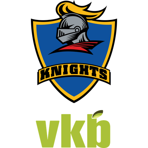VKB Knights artwork 1