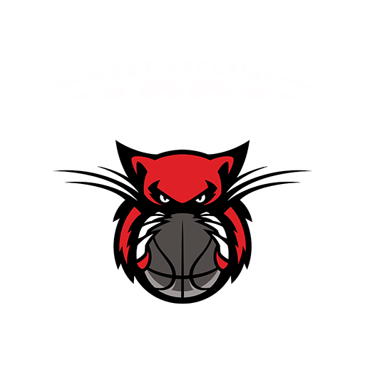 West Adelaide Bearcats artwork 1
