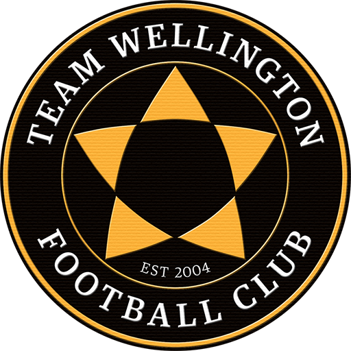 Team Wellington artwork 1